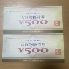 【専用再出品】ヤマダデンキ お買物優待券 ¥500 × 2枚 1,000円分
