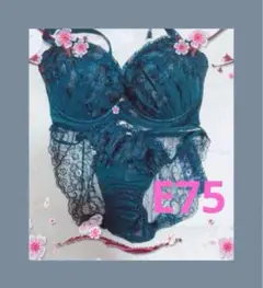 ティール E75 ブラジャーショーツセット