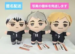 ハイキュー!! みにコレぬいぐるみ3　北信介　宮侑　宮治