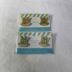 嵐　ピンバッジ
