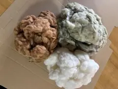 洋綿　3色　コットン＊ゆうパケットポスト