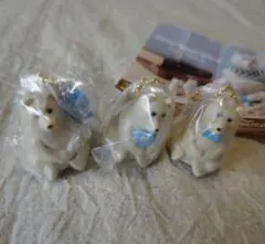 Item thumbnail for item c893cca2-a230-4e79-82af-31c5fd938306