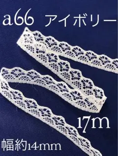 a66ラッセルレース　アイボリー（17m）