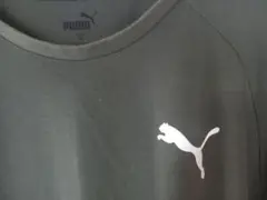 PUMA カーキ色 半袖Tシャツ　Mサイズ　メンズ