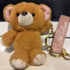 ディズニーストア　ピーターパン　マイケルのテディベア