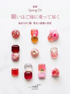 新規フォローで50円引き！ 選べる星座のカスタムピアス♡小粒セカンドピアス