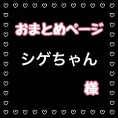 シゲちゃん様 リクエスト 3点 まとめ商品