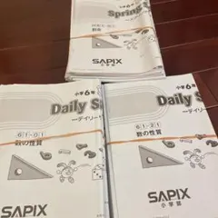 2026年最新】デイリーサピックスの人気アイテム - メルカリ