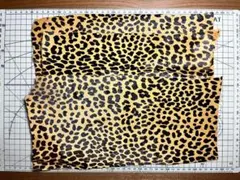 Item thumbnail for item 0d1b2f60-da64-4981-856a-411f9e2995ca