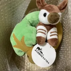 AQUA オカピ　ぬいぐるみ　よこはま動物園ズーラシア