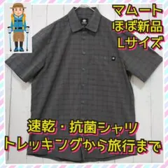 Item thumbnail for item 6c66032f-b623-4323-9de5-db9a65bff868