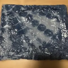 Item thumbnail for item 102be646-59cd-45e2-80d4-46bd8d96ed7c