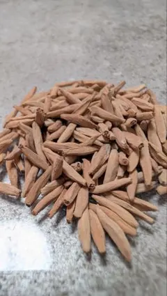 2025年最新】アデニウム ソコトラナム 純血の人気アイテム - メルカリ