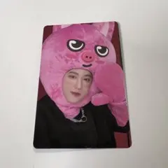 Stray Kids チャンビン MAXIDENT SKZOO トレカ