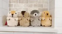 AMUFUN　マーモットのもっとっと　LMC　フルセット4点