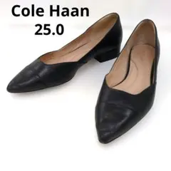 高級・希少】CELINE セリーヌ レザー パンプス ブラック 36.5 - メルカリ