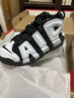 Item thumbnail for item e6ad08dc-90df-4d1f-953c-9b83e723f4c5