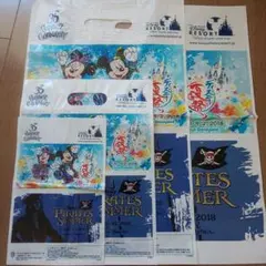 東京ディズニーリゾート ショッパー ショップ袋 ショッピングバッグ