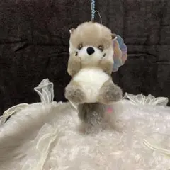 うきうきらっこ キラキラの宝物のサムネイル