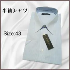 CHOYA 半袖ワイシャツ 43 形状安定 ストライプ 新品 メンズ