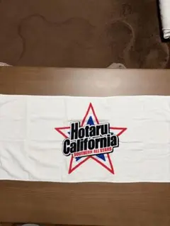 SOUTHERN ALL STARS 2019ライブツアータオル・バッジセット | Mercari