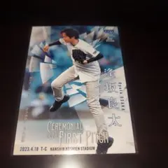 Item thumbnail for item 9e245490-36cd-45a3-84f8-25cb252897e8