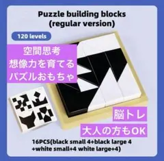 大人もハマる知育パズル　想像力と推理力を育てるブロック型脳トレ玩具 白黒デザインのサムネイル
