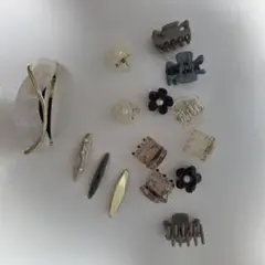 ヘアクリップ セット　※光の加減に注意