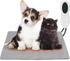 Item thumbnail for item db66bdb7-78ab-40fa-a0e5-d590330a319c