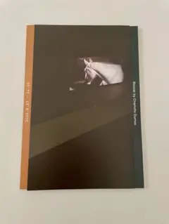 シャルル・デュマ 展覧会図録 Bezoar