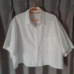 プニュズ シャツ