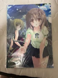 カラフルワークス 信州アーティストコレクション 信州ガールズコレクション