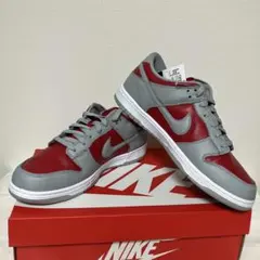 Nike Dunk Low Varsity Red and Silver