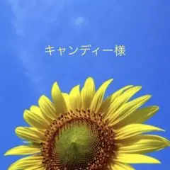 キャンディー様専用