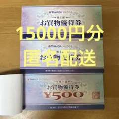 ヤマダホールディングス 株主優待券 15000円分 ヤマダ電機 YAMADA
