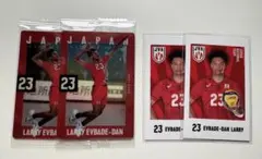 エバデダン ラリー バレーボール日本代表 トレーディングカード 2枚