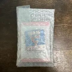 SEVENTEEN ファンクラブ　特典　ピンバッジ　グッズ　非売品　ピンズ　特典