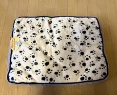 Item thumbnail for item 7b9d03ea-e3d1-4e9f-aca2-957a6224d91a