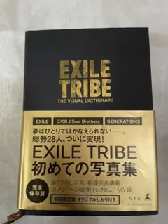 The Visual Dictionary しおり付き