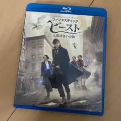ファンタスティック・ビーストと魔法使いの旅 ブルーレイ&DVDセット('16英…