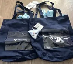 Item thumbnail for item 317b2810-892f-41d2-b076-fa43a972a2e0