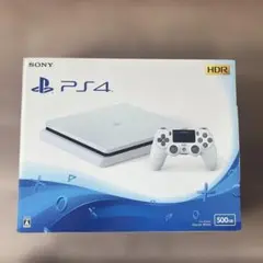 【美品】PS4 本体　コントローラー　その他付属品付