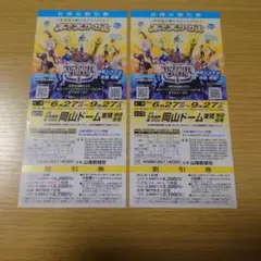 木下大サーカス 岡山公演 お得な割引券2枚　1枚4名様まで利用可能のサムネイル