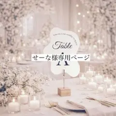 せーな様専用ページ