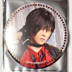 刀ミュ 十周年 祝賀祭 ドーム　大倶利伽羅 牧島輝　缶バッジ A ②