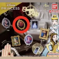 Disney Princess Canvas Ring 塔の上のラプンツェル