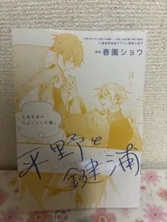 2026年最新】平野と鍵浦 小冊子の人気アイテム - メルカリ