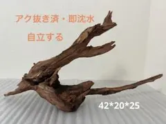 2026年最新】マシンガンウッドの人気アイテム - メルカリ