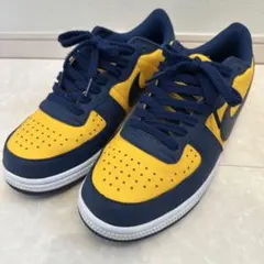 Nike ターミネーター　ロウ ミシガン　27.0cm