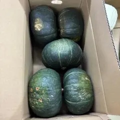 九重栗かぼちゃ約20kg - メルカリ